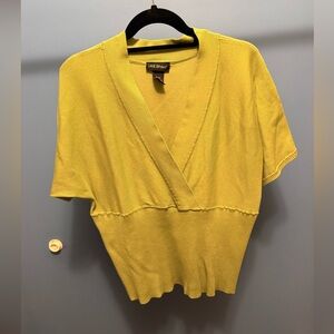 Lane Bryant Green V-Neck Sweater